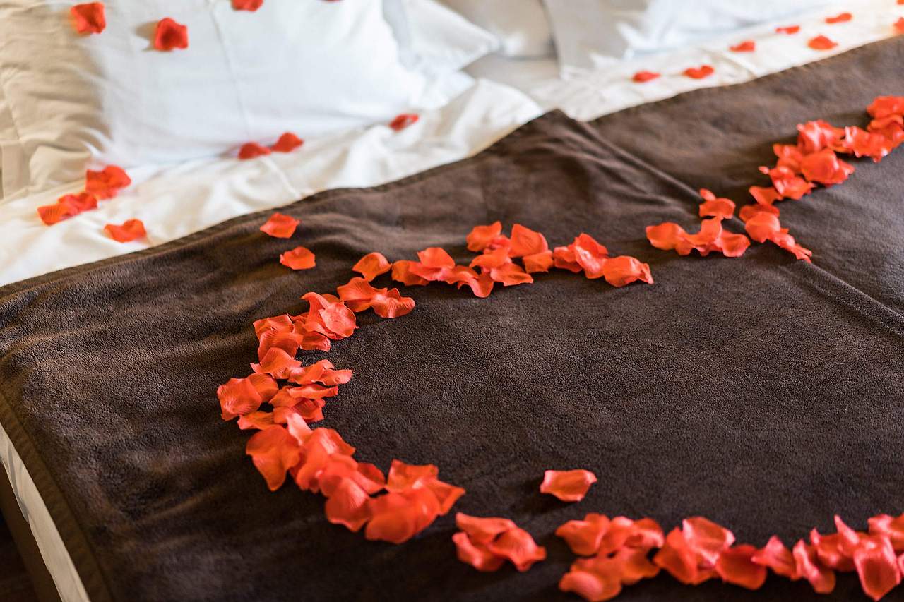 romantic-and-lovely-bed-of-roses-petals_free_stock_photos_picjumbo_DSC04715-2210x1473.jpg