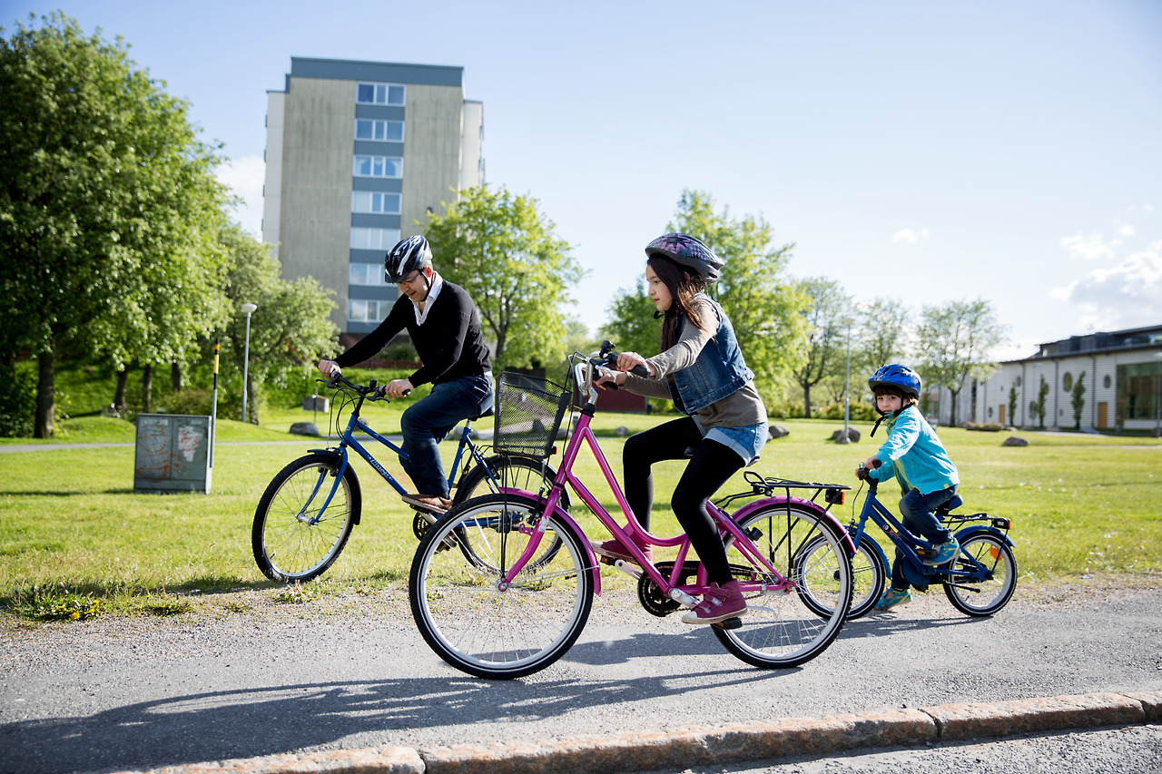ann-sofi_rosenkvist-family_bike_ride-4912.jpg