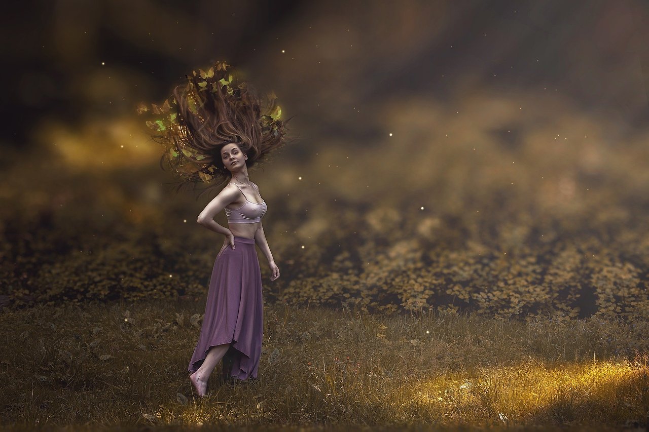 forest-2722669_1920 (1).jpg