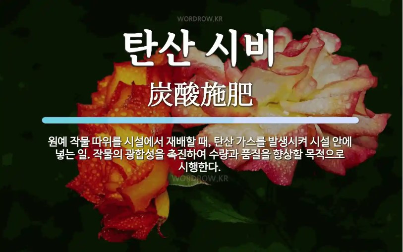 화면 캡처 2025-10-06 081406.jpg