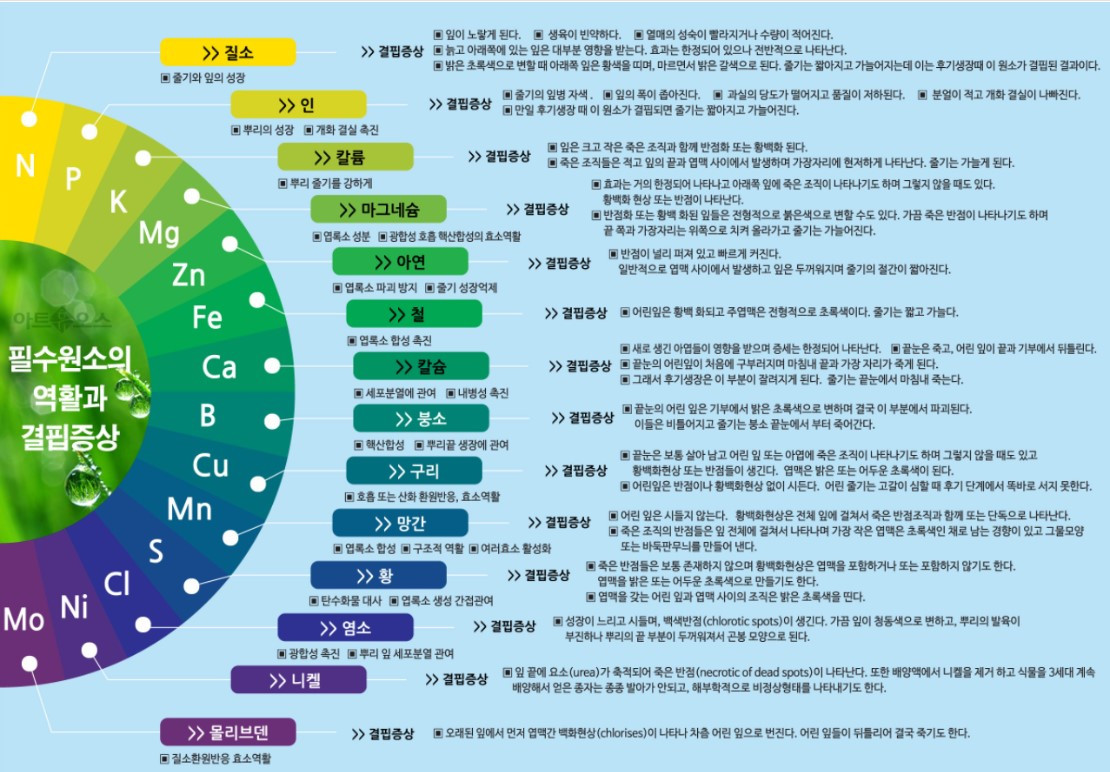 화면 캡처 2025-10-06 075824.jpg