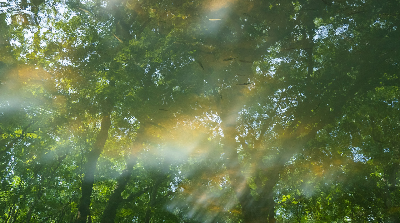 알 수 없음.jpg