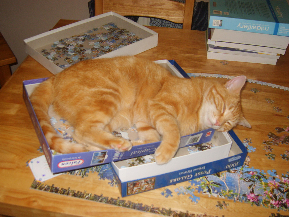 catinbox_puzzle_by-rawdonfox_4x3.jpg