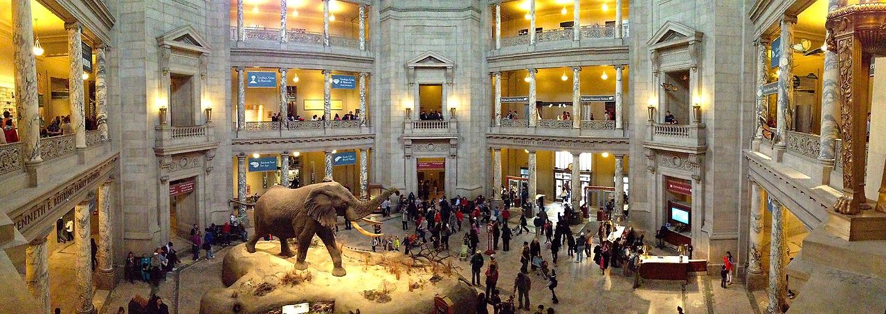 National_Museum_of_Natural_History_Rotunda_pano.jpg