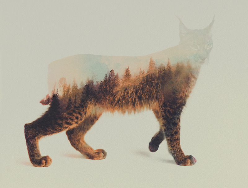 Stunning-Double-Exposure-Portraits-by-Andreas-Lie-13.jpg