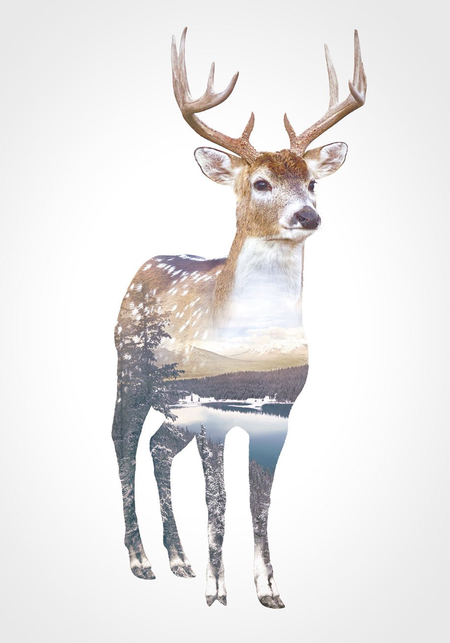 double-exposure-animal-portraits-faunascapes-whatwedo-denmark-10.jpg