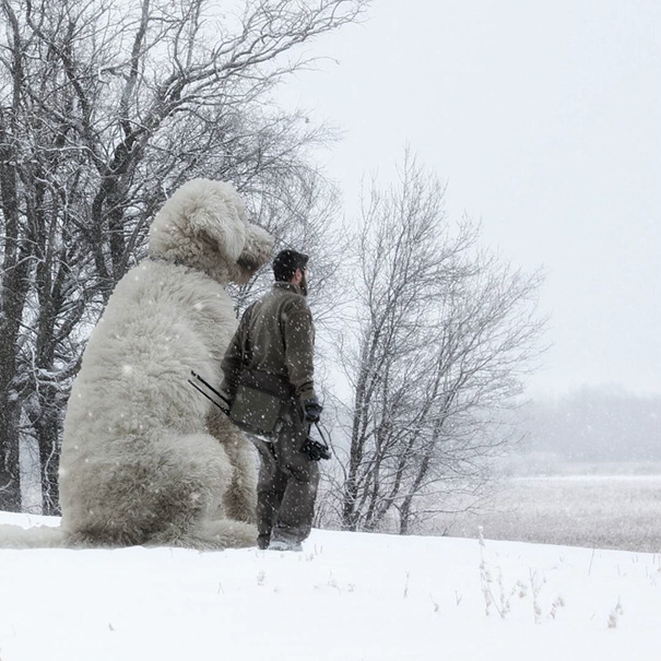 dog-giant-roams-streets-photoshop-juji-christopher-cline-151.jpg