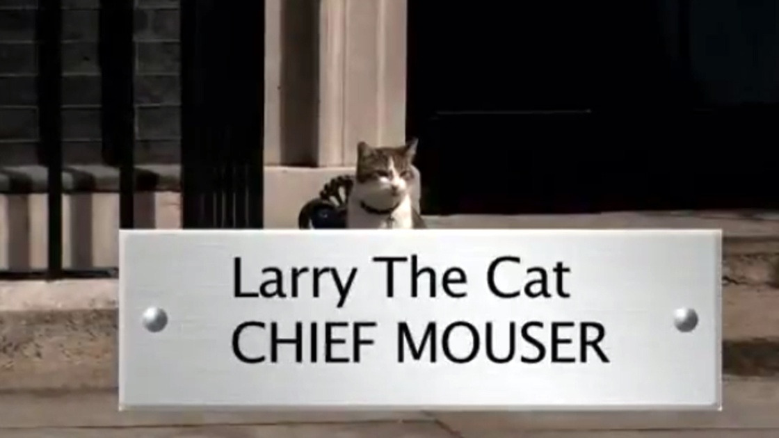 Larry-the-Cat-video-blurb-jpg.jpg