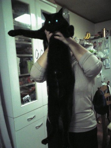 Tacgnol_Longcat_like_youve_never_seen_him_before-s354x472-56063-1020.jpg