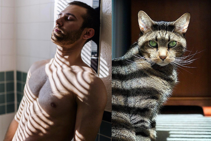 HommesetChatons17.jpg