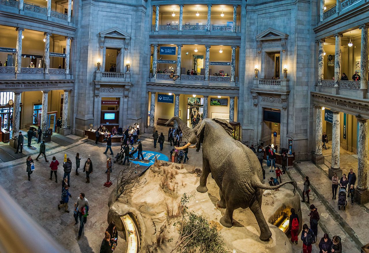 NMNH-Rotunda.jpg