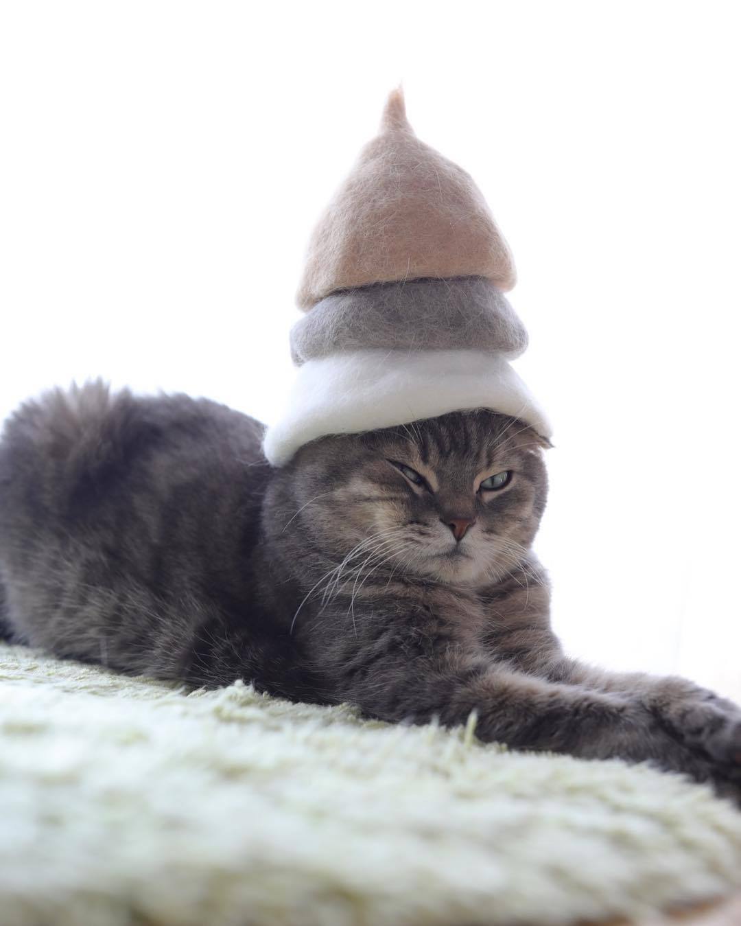 ryo-yamazaki-cat-hair-hat-3.jpg