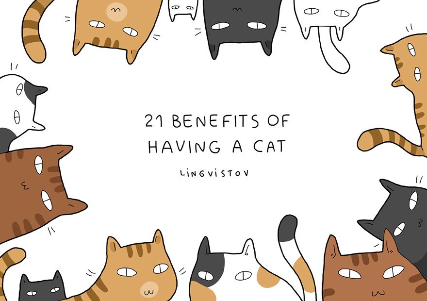 funny-illustrations-benefits-of-having-a-cat-lingvistov.jpg