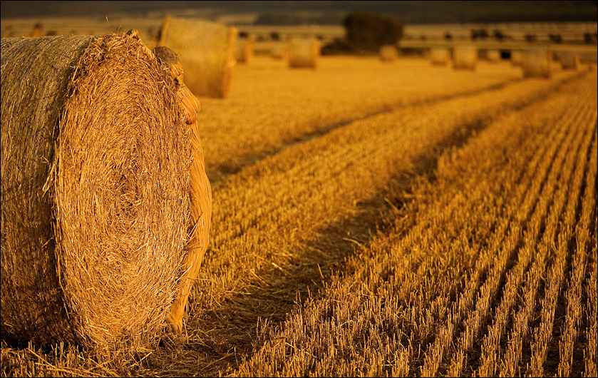 010Strohballen-Uwe01-qf.jpg
