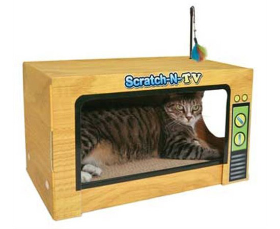 CatScratchTV.jpg