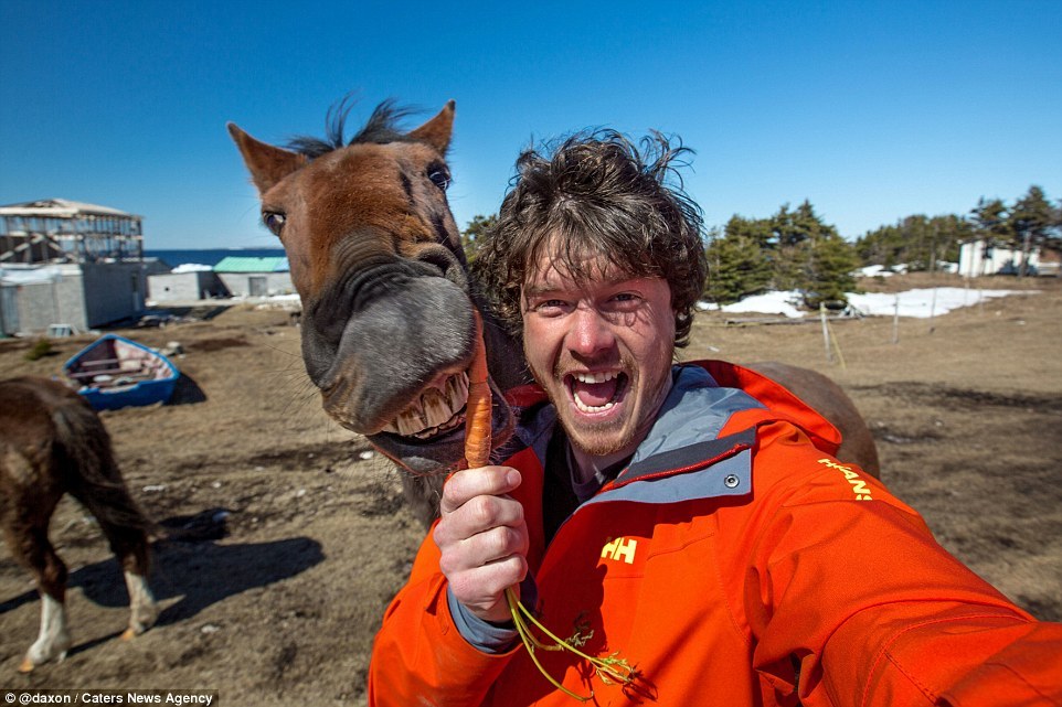 2F911A3500000578-3370281-Horsing_around_Allan_tempts_a_horse_with_a_carrot_who_bears_his_-a-12_1450800310734.jpg