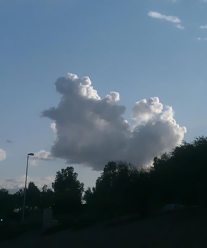 clouds-that-look-like-animals-5.jpg