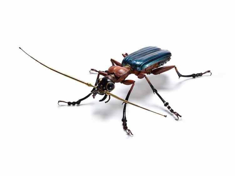 scrap-metal-sculpture-insects-by-edouard-martinet-10.jpg