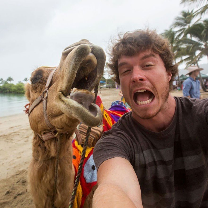 selfie-master-dr-dolittle-29.jpg