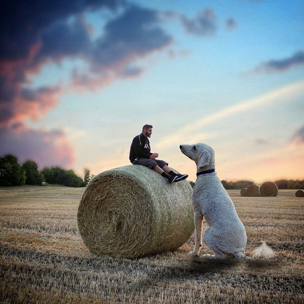 dog-giant-roams-streets-photoshop-juji-christopher-cline-251.jpg