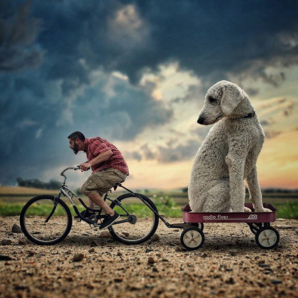 dog-giant-roams-streets-photoshop-juji-christopher-cline-201.jpg