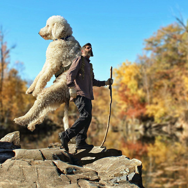 dog-giant-roams-streets-photoshop-juji-christopher-cline-81.jpg