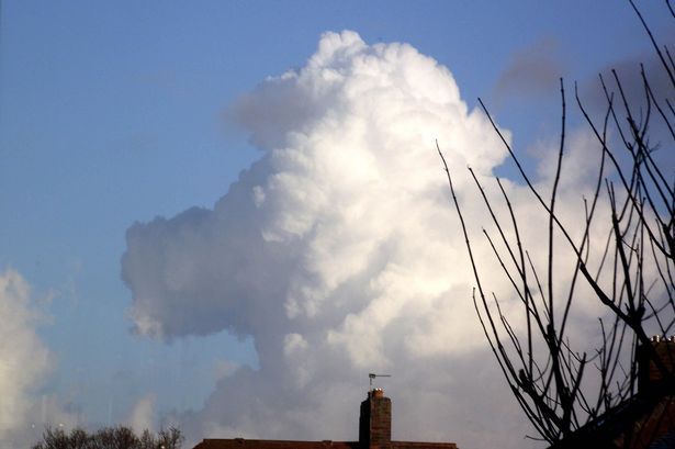 %C2%A3%C2%A3%C2%A3-Poodle-cloud.jpg