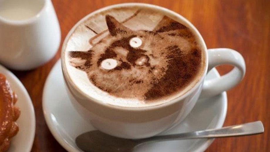 cat-coffee-art.jpg