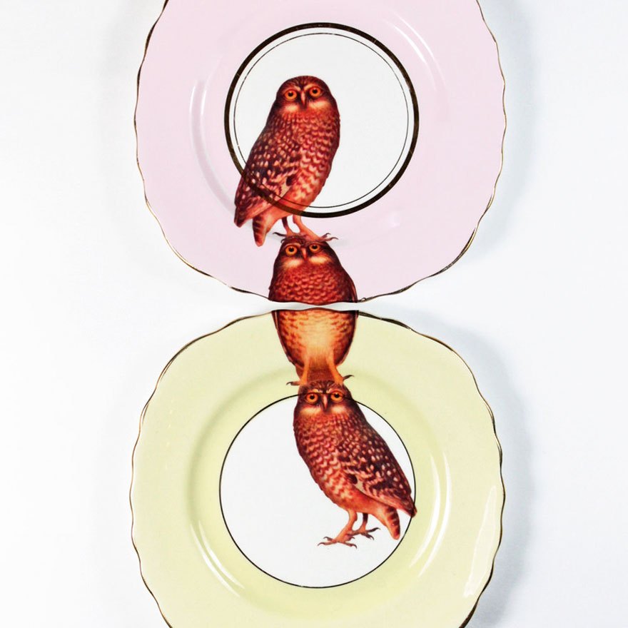handmade-animal-plates-bone-china-yvonne-ellen-14.jpg