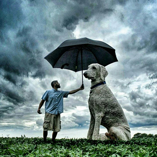 dog-giant-roams-streets-photoshop-juji-christopher-cline-61.jpg