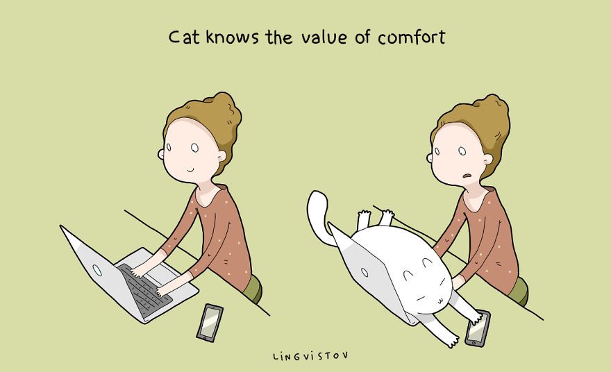 21-Benefits-of-Having-a-Cat-Book-13.jpg