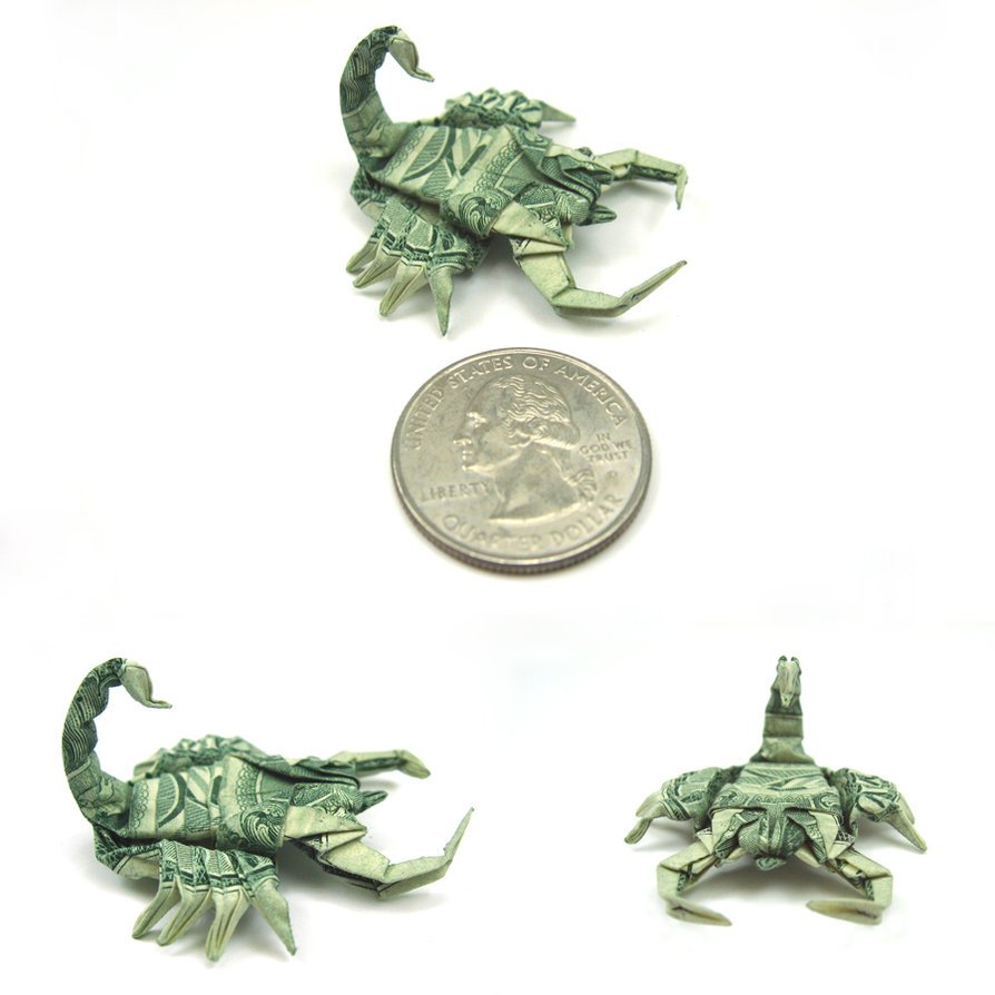 new_pics__dollar_scorpion_by_orudorumagi11.jpg