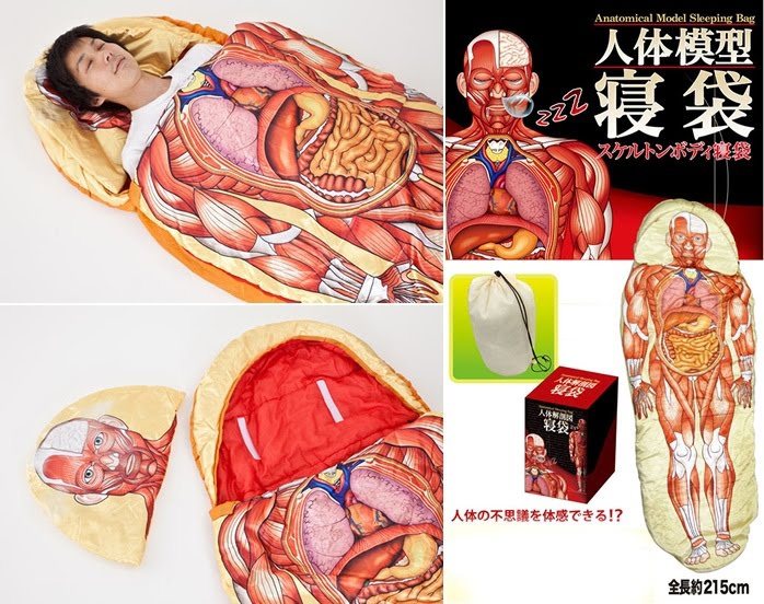 Anatomical%2BModel%2BSleeping%2BBag.jpg