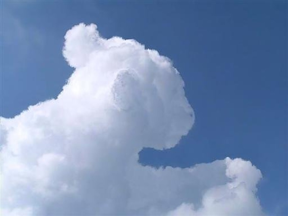 clouds-that-look-like-animals-14.jpg