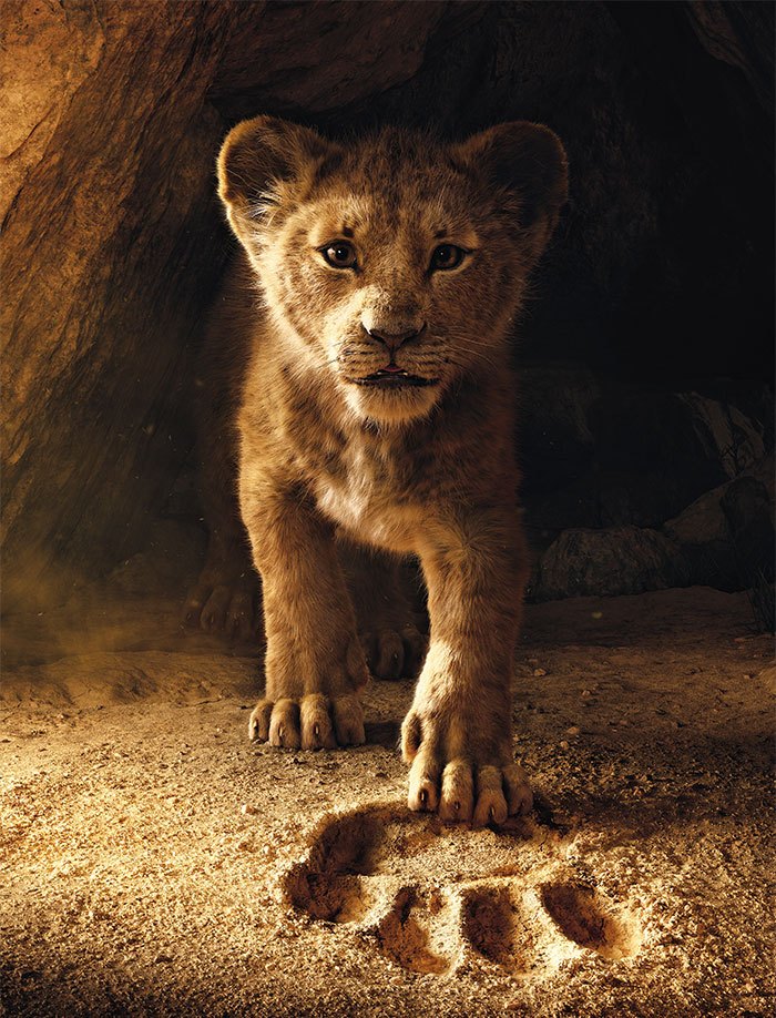 lion-king-live-action-baby-simba-bahati-dallas-zoo-11.jpg