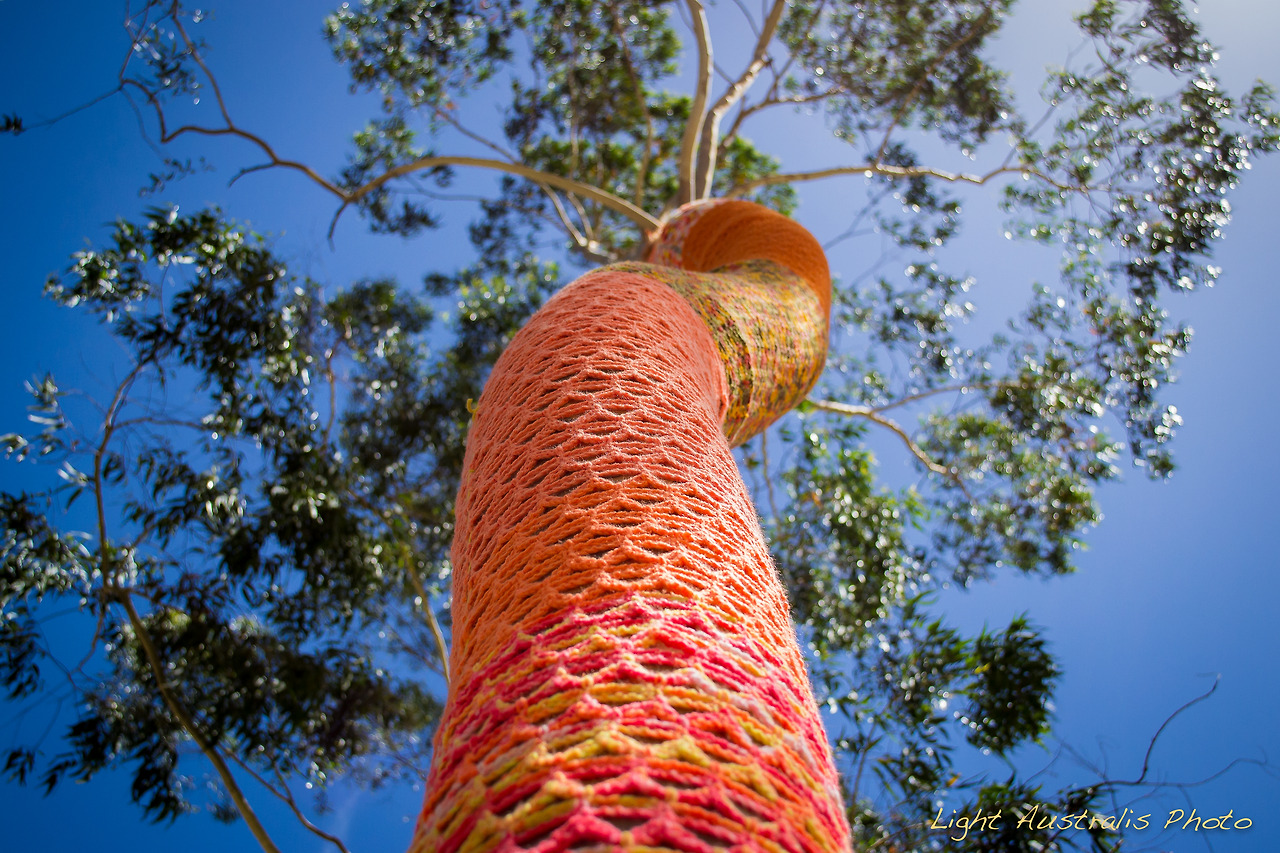 crochet-tree-1.jpg