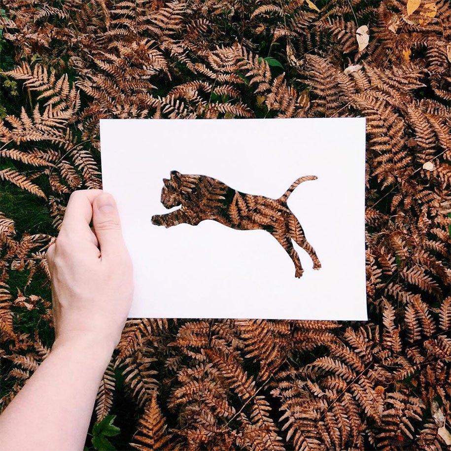animal-paper-cutout-silhouettes-nikolai-tolstyh-11.jpg