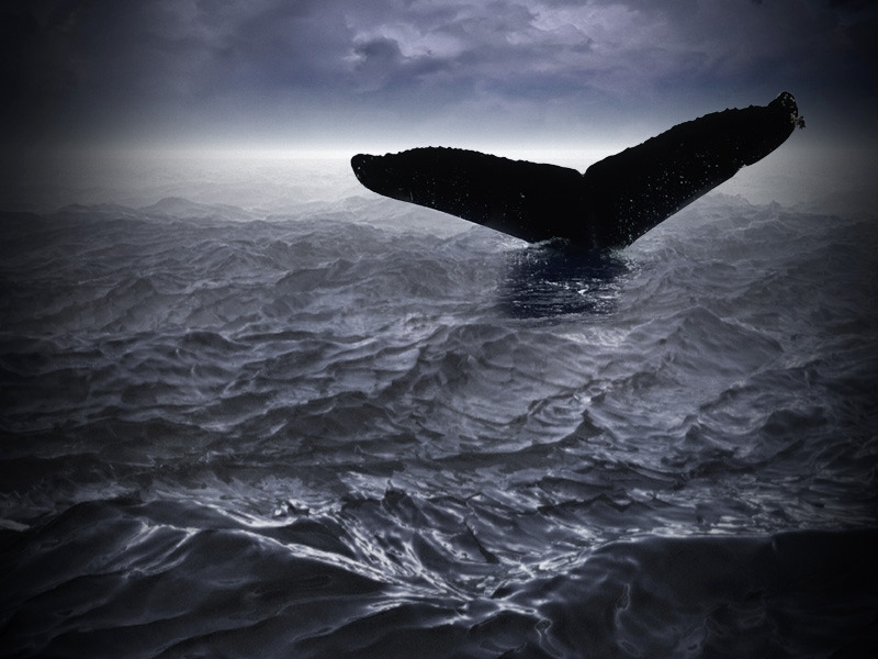 Jonah (blank title).jpg