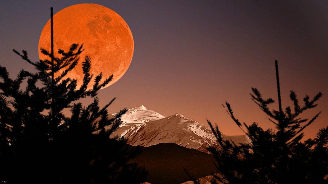 mountain-hunter-moon-mountains-nature-full-trees-desktop-wallpaper-hd-1920x1080.jpg