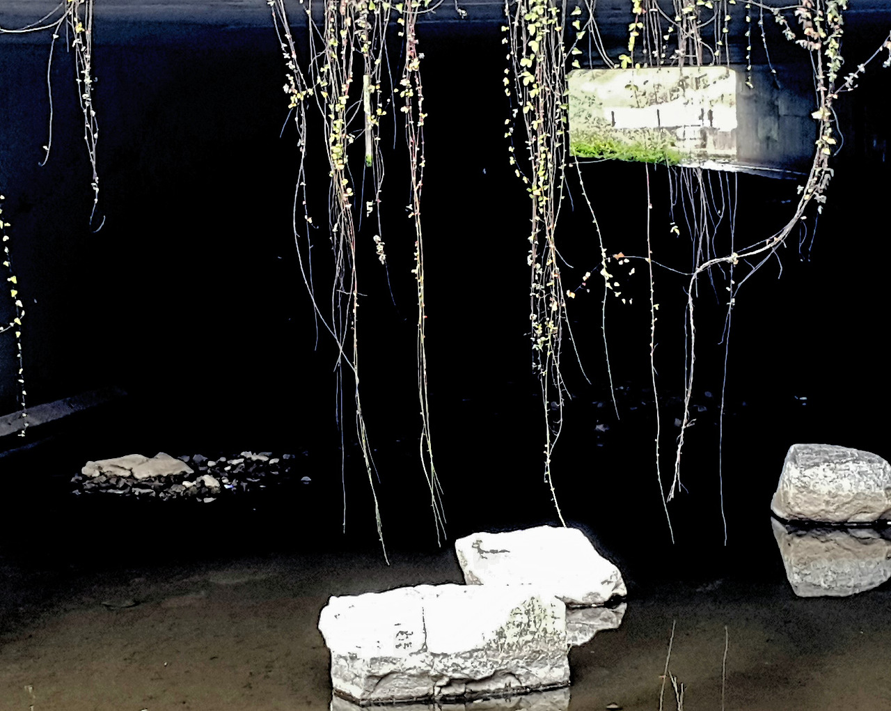 2017-10-10 11.44.27.jpg