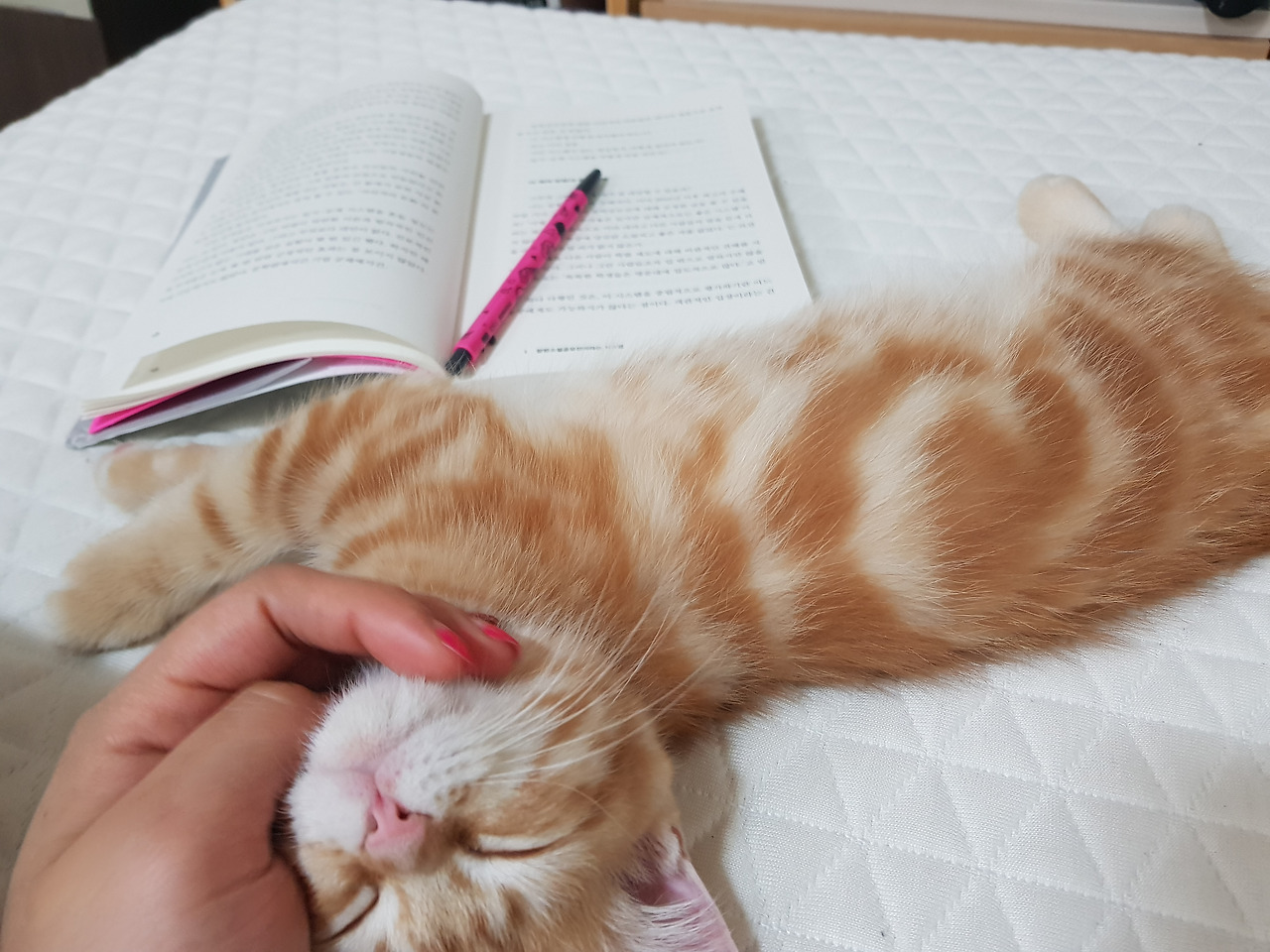 20180520_224434 - 복사본.jpg