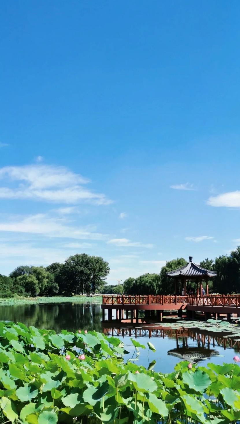 WeChat Image_20221124175040.jpg