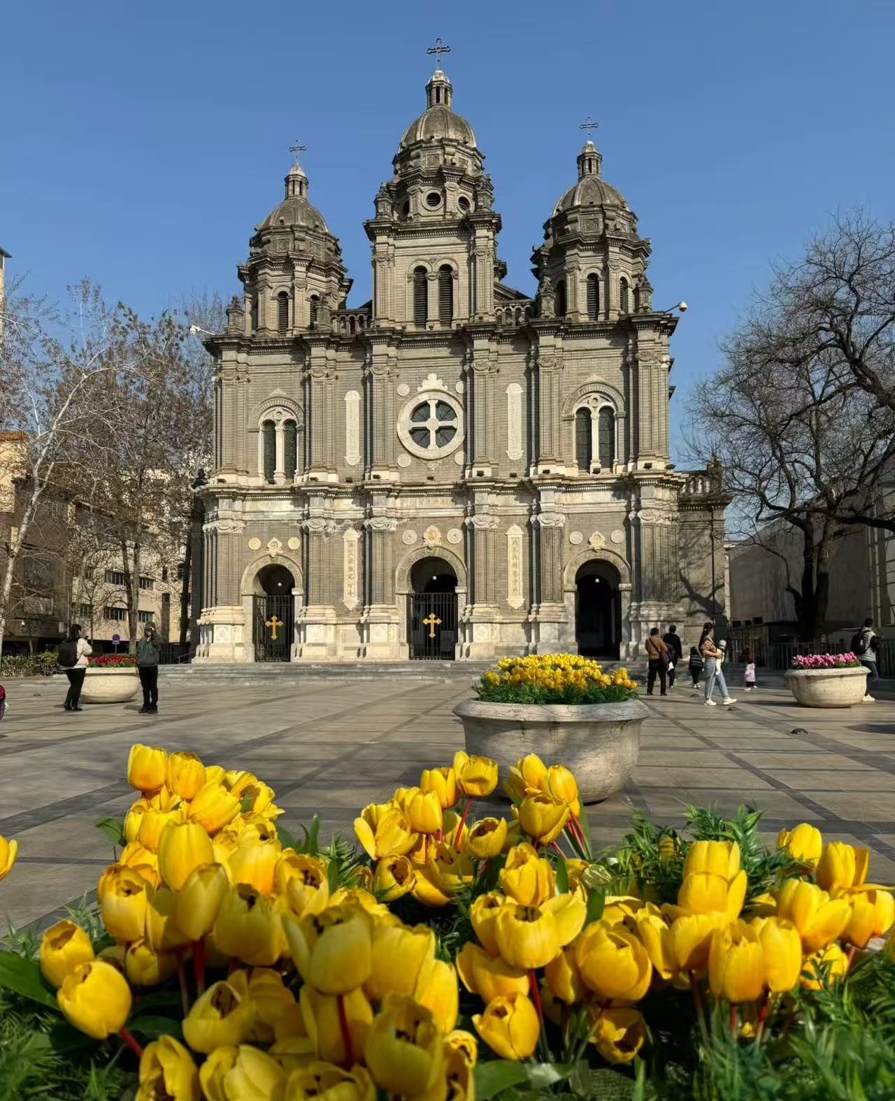 Weixin Image_20250428143935.jpg