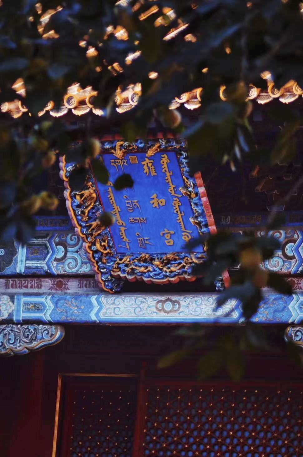 WeChat Image_20230210172024.jpg