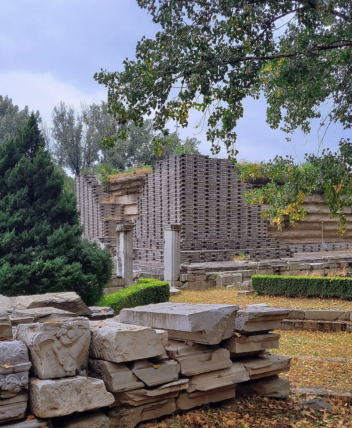 WeChat Image_20221124175052.jpg