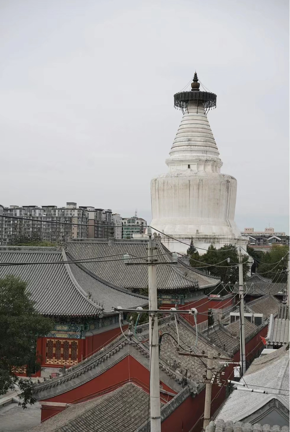 WeChat Image_20230207201806.jpg