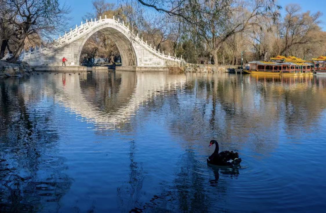 WeChat Image_20230205194626.jpg