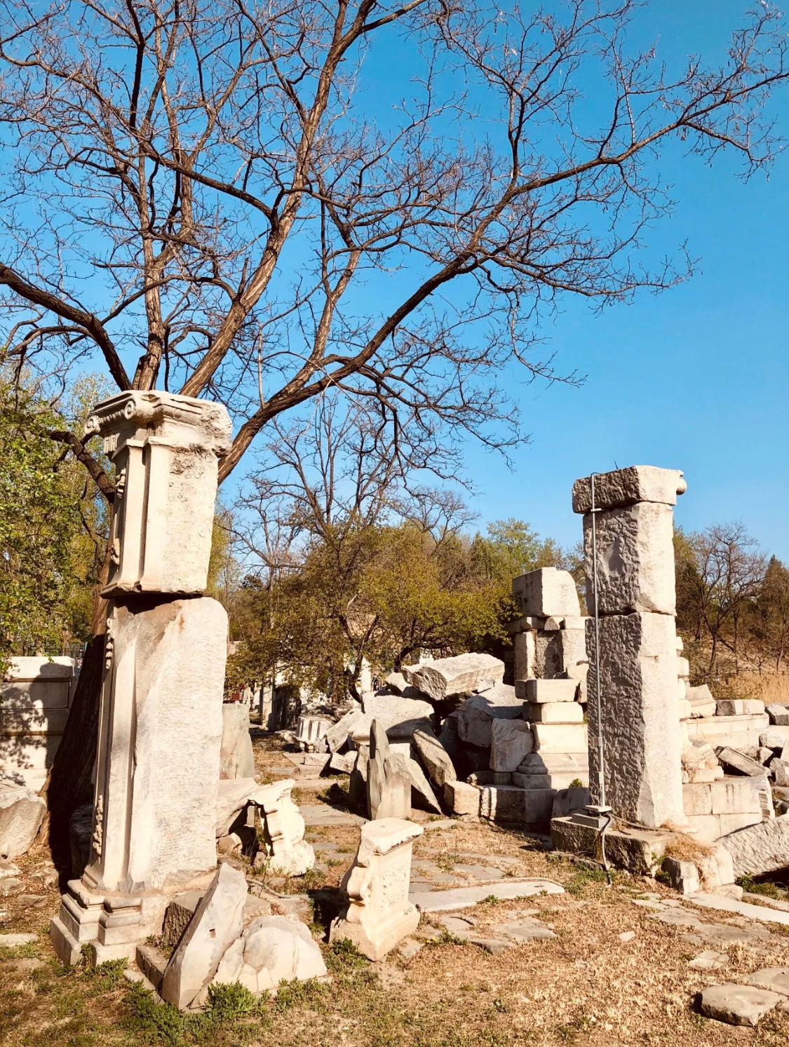 WeChat Image_20221124175117.jpg