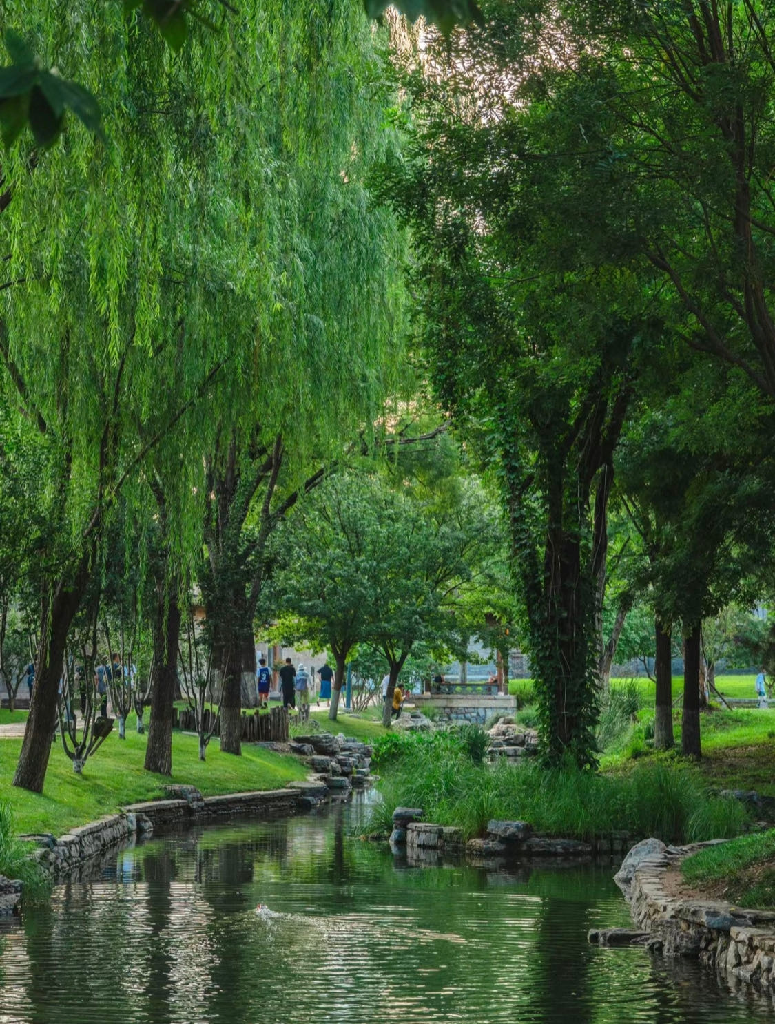 Weixin Image_20230927163533.jpg