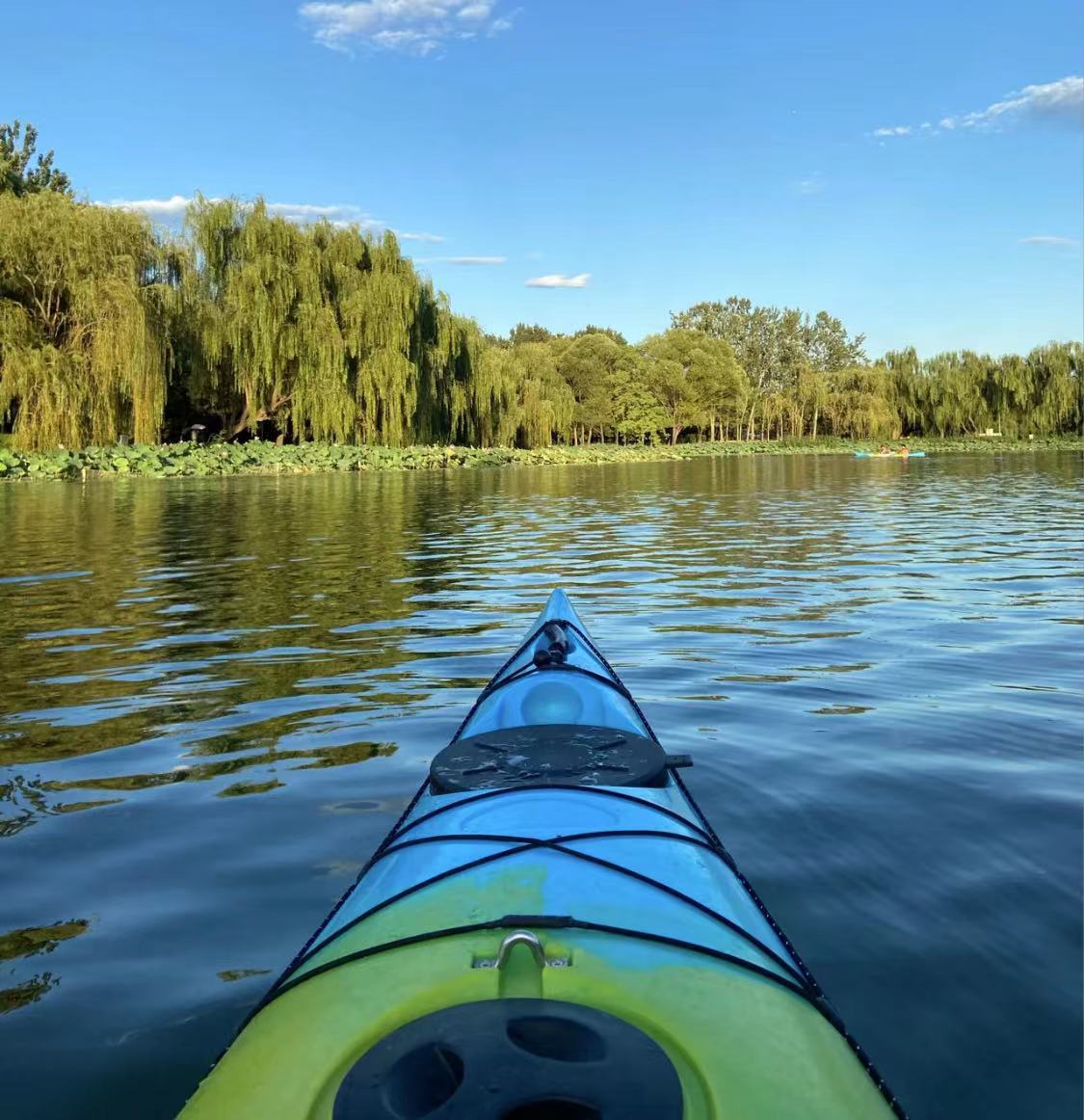 WeChat Image_20220910235918.jpg